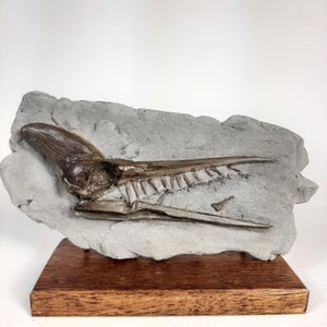 Pterodactyl scull replica sculpture