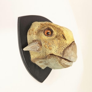 Psittacosaurus 1 to 1 scale Dinosaur Mount Tan Phase