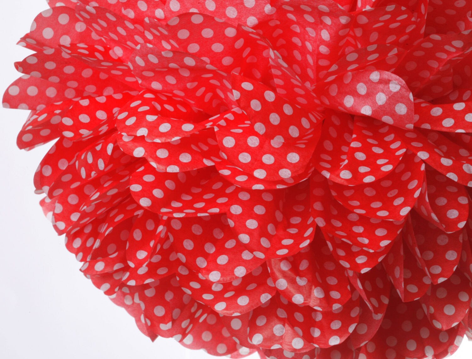 Red White Polka Dot 1 Large tissue paper pom poms Etsy