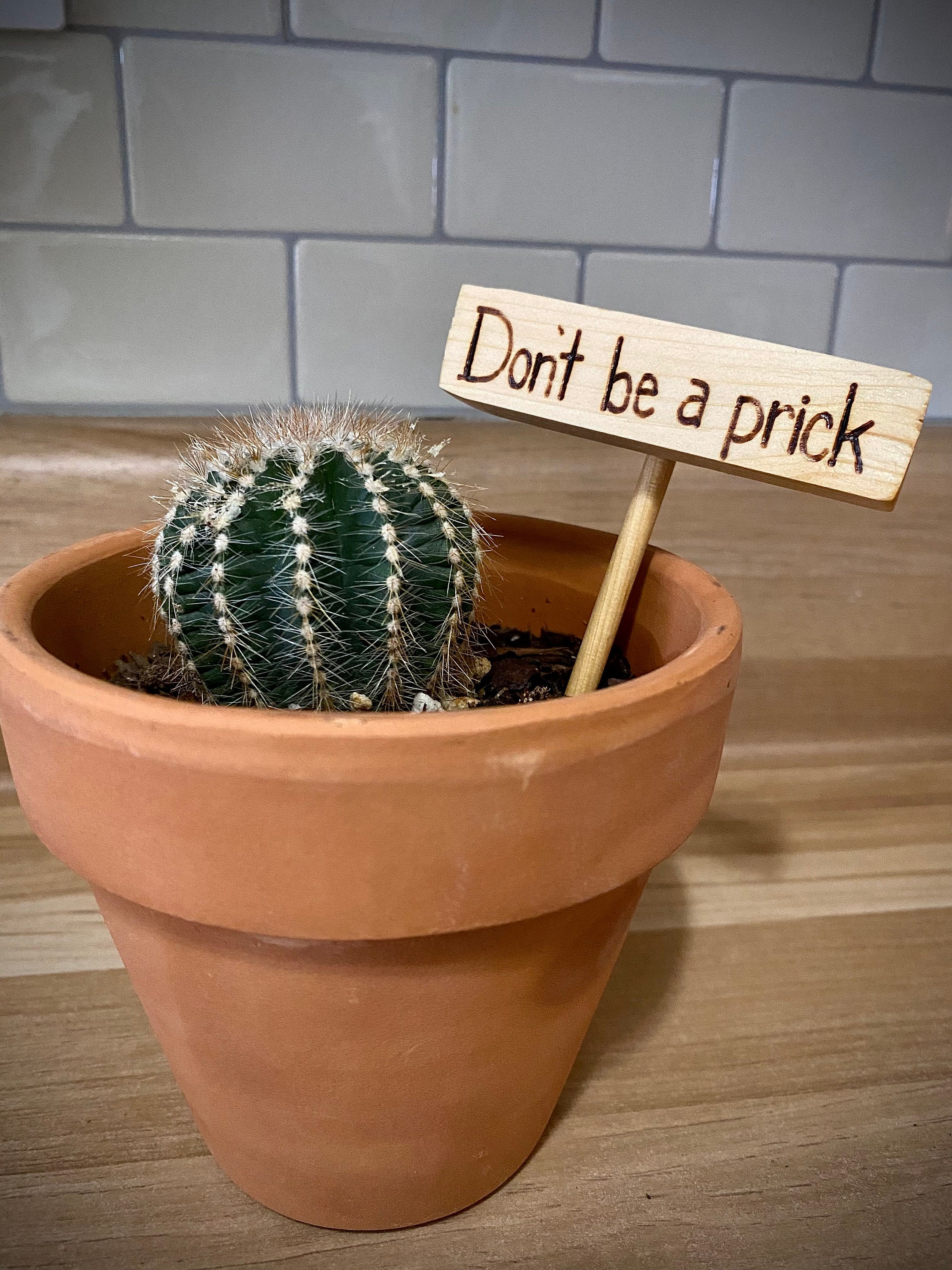 Wooden Plant Signs | Etsy