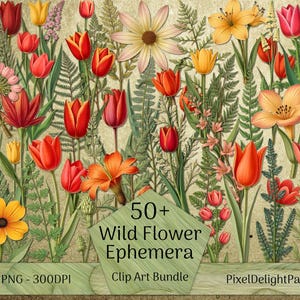 Wildblumen Ephemera Clip Art Bündel: Vintage botanische Drucke (digitaler Download)