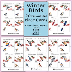 20 Tischkarten zum Ausdrucken mit Wasserfarben Wintervögeln | Elegante Sitzgelegenheiten für Hochzeiten, Partys, und Events | DIY Sofort Download