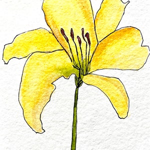 Original Watercolor and Ink Daylily 5x7 Painting, One-Line-Drawing, Summer, Wall Hanging, Home and Living, Botanical Art
