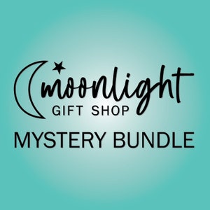 Mystery Bag of Shop Items - small