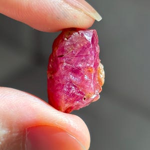 Naturlig rubinkristall 25,4 karat (20,8 mm x 13 mm) från Luc Yen, Vietnam