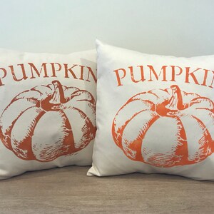 Farmhouse Pumpkin Pillow bild 1