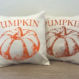 Farmhouse Pumpkin Pillow bild 2