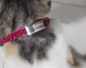 May include: A cat with white, gray, and tan fur wears a sparkly pink collar featuring a silver-toned metal tag. The tag is engraved with the text Nezu and a series of numbers, clearly visible against the cat's neck and fur.