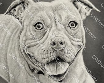 Pocket Bully Graphite Pencil and Charcoal Drawing,   Printable Wall Art