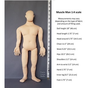 May include: A beige fabric Muscle Man doll in 1:4 scale, with measurements listed. The doll is 18 inches (46 cm) tall, with a 11.5 inch (29 cm) chest and 9.25 inch (23.5 cm) waist. The doll has a neutral expression and is standing upright.