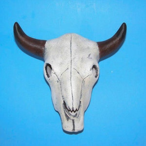 May include: White ceramic bull skull with brown horns. The skull is painted with black details around the eyes and nose.