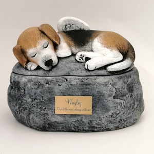 Op de afbeelding: Een keramische dierenurne in de vorm van een rots met een slapende beagle-hond erop. De hond heeft bruin, zwart en wit haar en heeft engelenvleugels. De urne heeft een gouden plaquette met de naam "Wrigley" en de inscriptie "Onze kleine man, altijd bij ons".