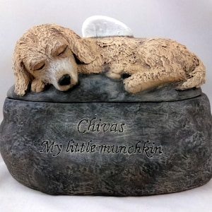 Ceramic Engraved Poodle Mix Painted Cremation Urn - hand made pet urn-engraved directly on the urn