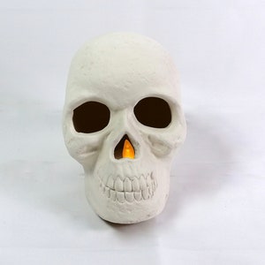 May include: White ceramic skull with a textured surface. The skull has empty eye sockets and a hollow nose.