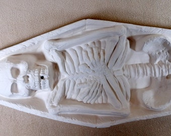 READY TO SHIP-Ceramic Ready to Paint Skeleton in coffin incense burner for stick incense - 12 inches long, bisque, unpainted ceramic
