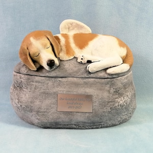 Puede incluir: Una urna conmemorativa con forma de piedra gris y un perro beagle marrón y blanco durmiendo encima. Una placa plateada en el frente dice: Our beautiful Bailey boy loved always 2011-2025. La escultura presenta texturas detalladas en el pelaje.