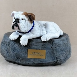 Custom Painted Bulldog Cremation Urn with  large rock for pets over 75 pounds and plastic name plate included -Made to Order Pet  urn