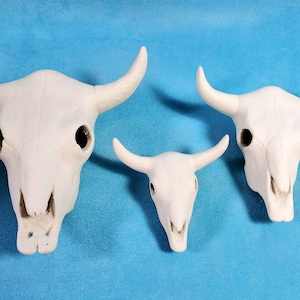 May include: Three white ceramic bull skulls of varying sizes. The largest skull is on the left, the smallest is on the right, and the middle skull is in the center. The skulls are all facing forward with their horns pointing out to the sides.