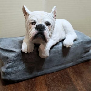 Custom Painted French Bulldog Cremation Urn  -Pet hand made urn with plastic name plate. Made to order