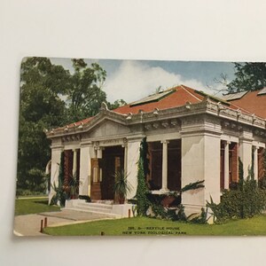 vintage postcard new york zoological park