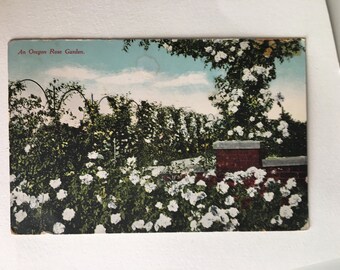 vintage postcard of a rose garden portland oregon