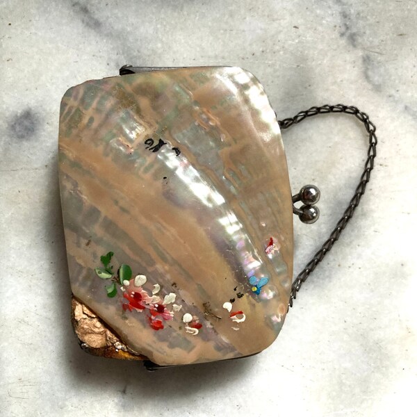 Shell Coin Purse Etsy