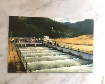 vintage postcard of northwest fish ladders in a 76 gas advertisement