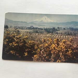 vintage postcard of mount hood oregon