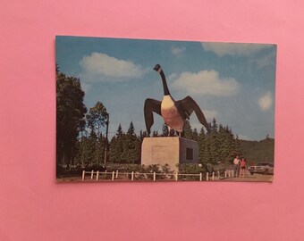 vintage color postcard “the wild goose” wawa, ontario canada