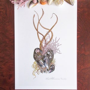 Kelp Holdfast (Limited Edition Print)