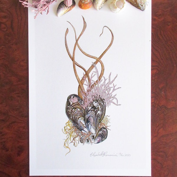 Kelp Holdfast (Limited Edition Print)
