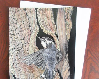 Pygmy Nuthatch Blank Greeting Card (Pack of 6)