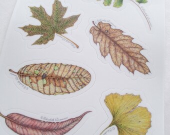 Three Sheets of Botanical Stickers
