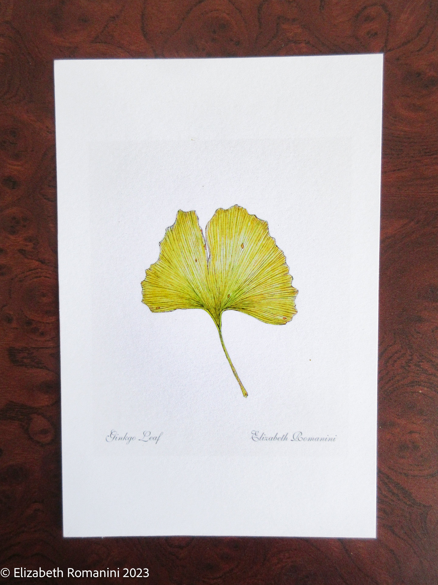4x6 8x10 Green Vines Plant Minimalist Watercolor Art Print, Scandinavian  Kitchen Décor, Botanical Garden Leaf Artwork