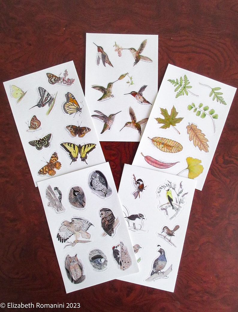 Five Sheets of Nature Stickers image 1