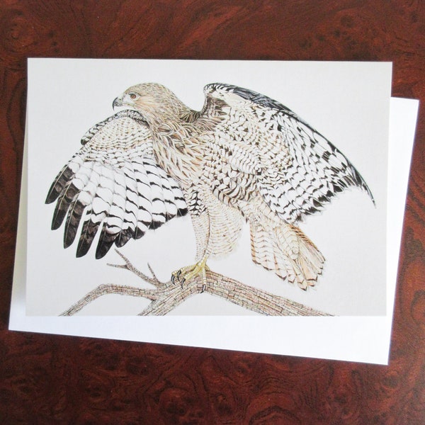 Red-tailed Hawk Blank Greeting Card (Pack of 6)