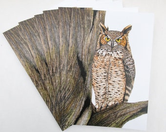 Great Horned Owl Blank Greeting Card (Pack of 6)