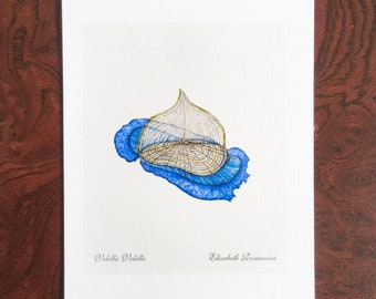 Velella Velella(Mini Print)