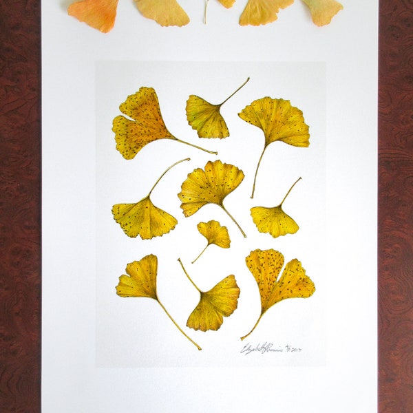 Winter Ginkgo Leaves  (Limited Edition Print)