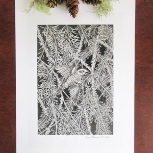 Townsend&#39;s Warbler with Douglas Fir and Lichen (Limited Edition Print)