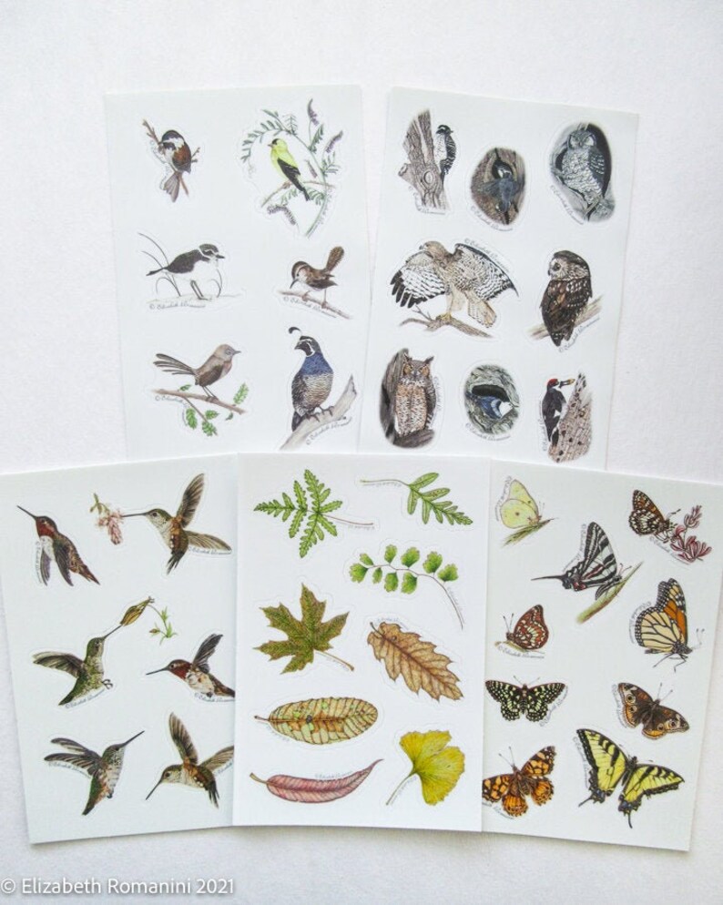 Five Sheets of Nature Stickers image 7