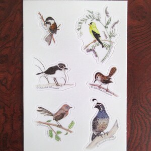 Five Sheets of Nature Stickers image 6