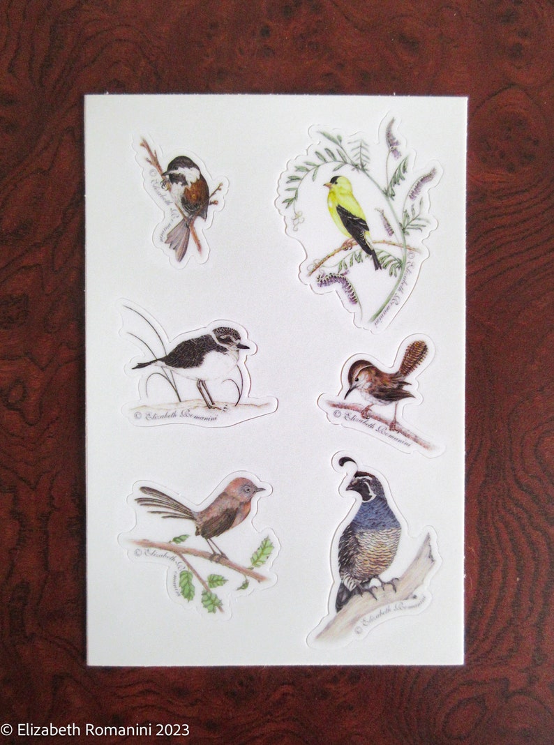 Five Sheets of Nature Stickers image 6