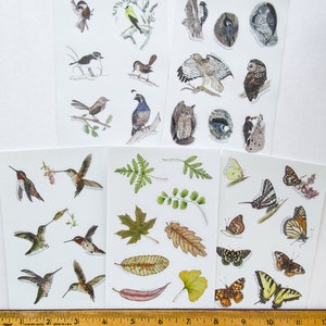 Five Sheets of Nature Stickers image 8
