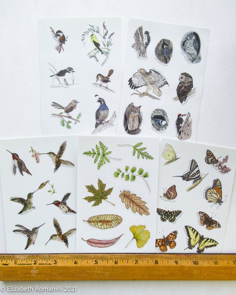 Five Sheets of Nature Stickers image 8