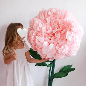 Stehende riesige Papier-Pfingstrose. Große Blume aus Krepppapier, die von alleine steht. Riesige freistehende rosa Blüte