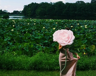 Gigantische papieren roos, extra grote bloem, feestdecor