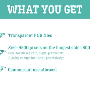 May include: A teal graphic with the text "WHAT YOU GET". It details "Transparent PNG files", image size (4500 pixels), and that commercial use is permitted.