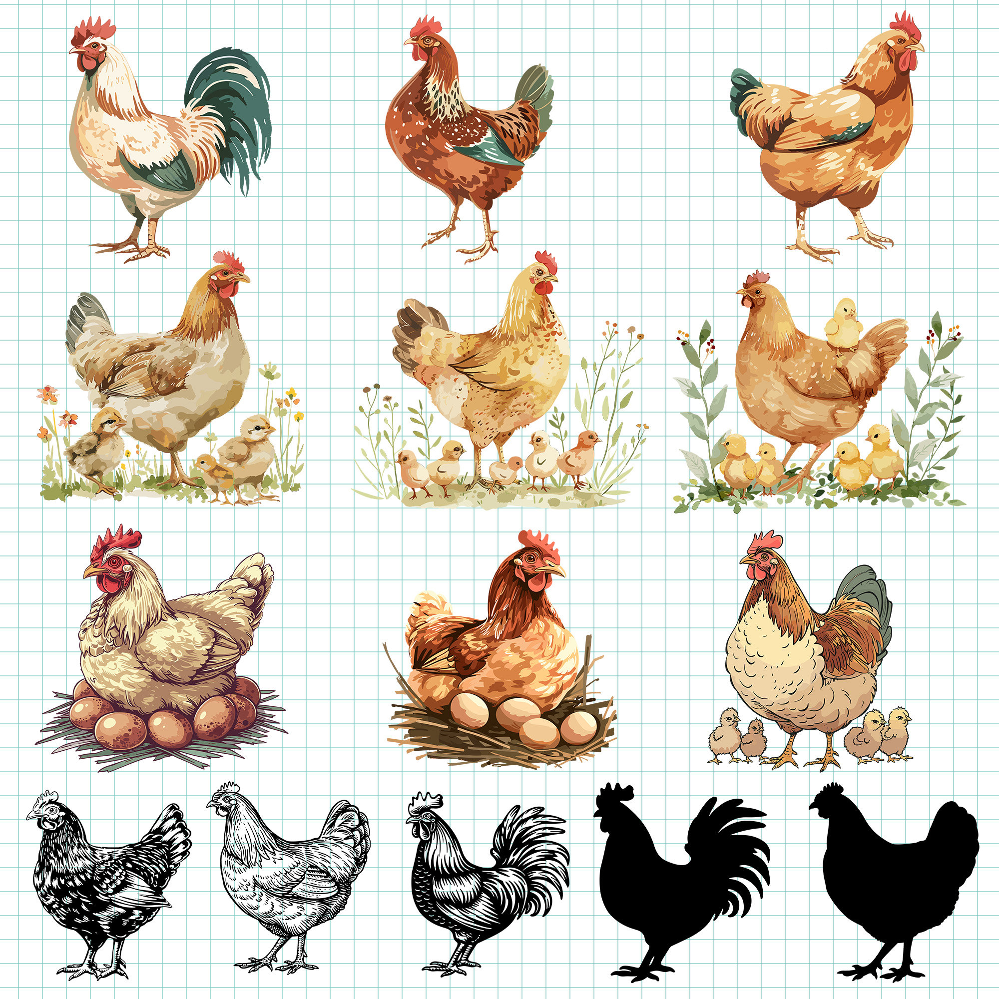 Watercolor Chicken Clipart Vintage Chicken Illustration PNG Bundle Set ...