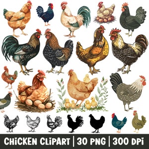 Clipart poulet aquarelle vintage Illustration de poulet PNG Bundle ensemble Poulet floral ferme animal sublimation Image poule coq poussins oeufs